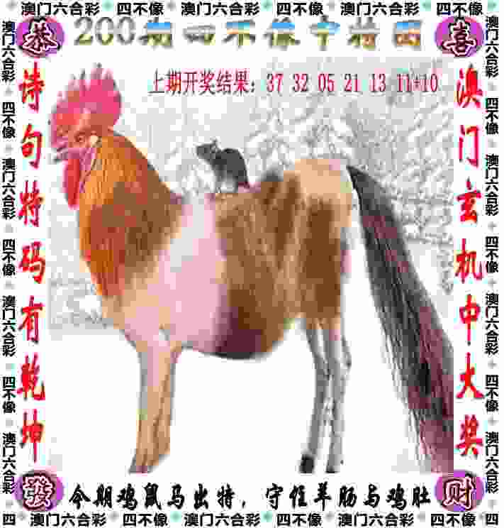 >新奥2025最新版本免费